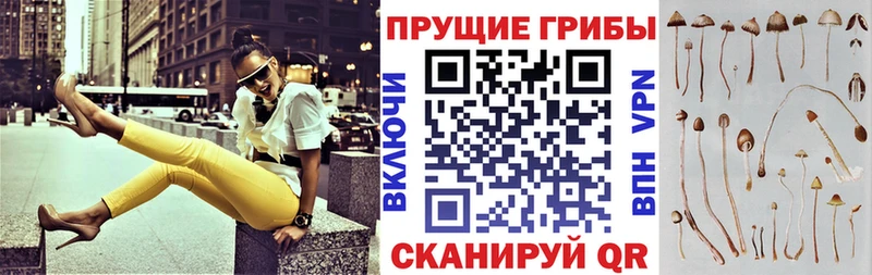 Галлюциногенные грибы ЛСД  сайты даркнета формула  Волжский 