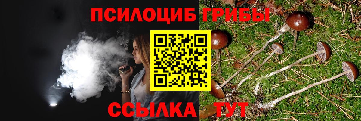 где найти наркотики  Галлюциногенные грибы Cubensis  Вход с VPN  Галлюциногенные грибы прущие грибы  Волжский 